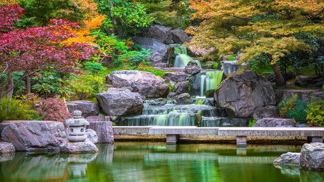 Water and maple trees Japanese garden